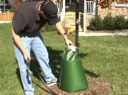 Illustration for article titled What Are Advantages of Applying Tree Gator Bags or Maybe Related Equipment